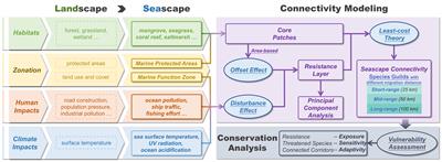 Framing seascape connectivity modeling to prioritize marine conservation effort in China’s coastal sea